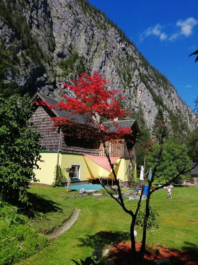Haus Waldbach Vila Hallstatt Exterior foto