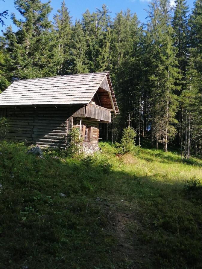 Haus Waldbach Vila Hallstatt Exterior foto